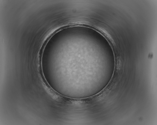 X0000090631031200707311301