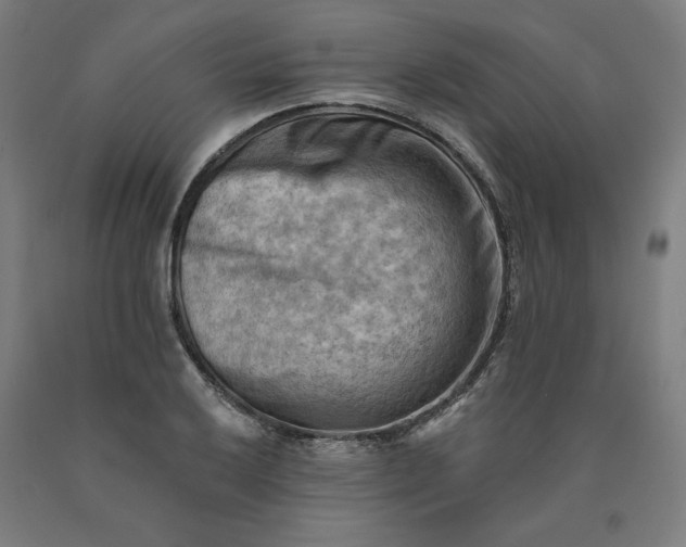 X0000090631032200707311301