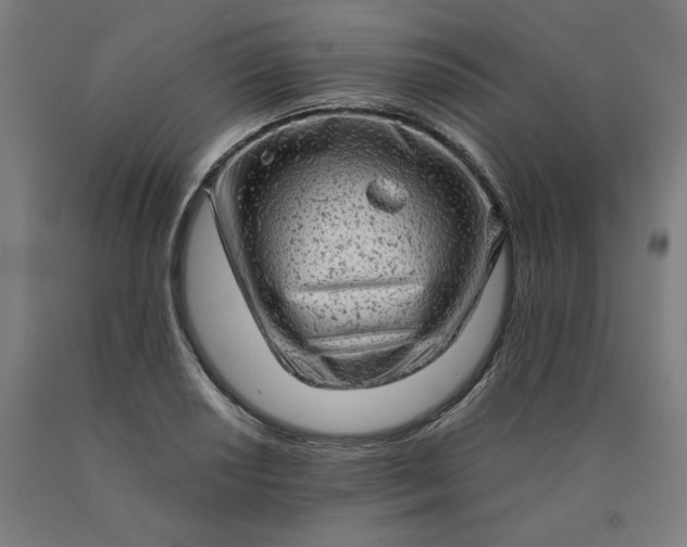 X0000090631034200707311301