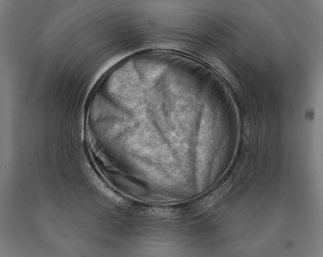X0000090631036200707311301