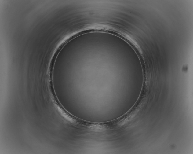 X0000090631037200707311301