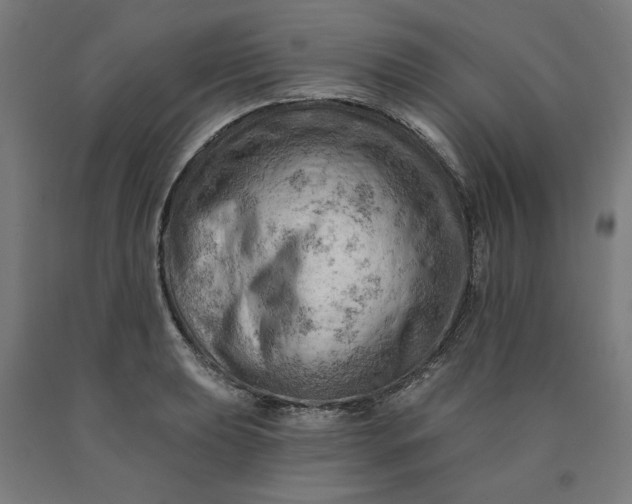 X0000090631039200707311301