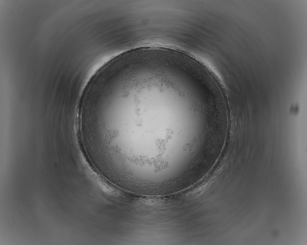 X0000090631040200707311301