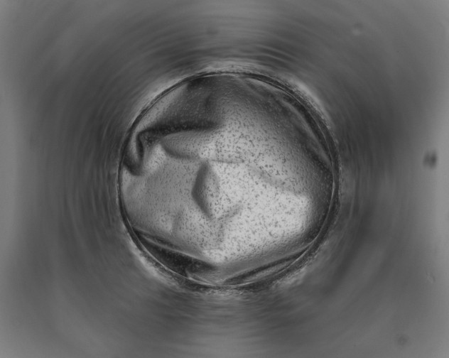 X0000090631041200707311301