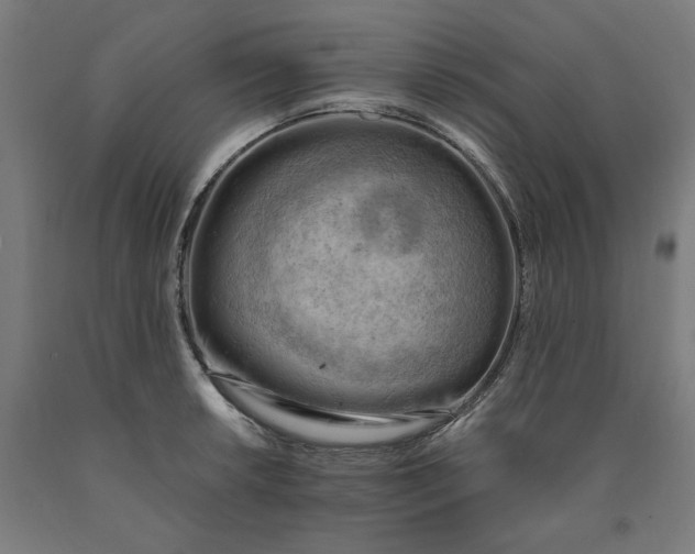 X0000090631042200707311301