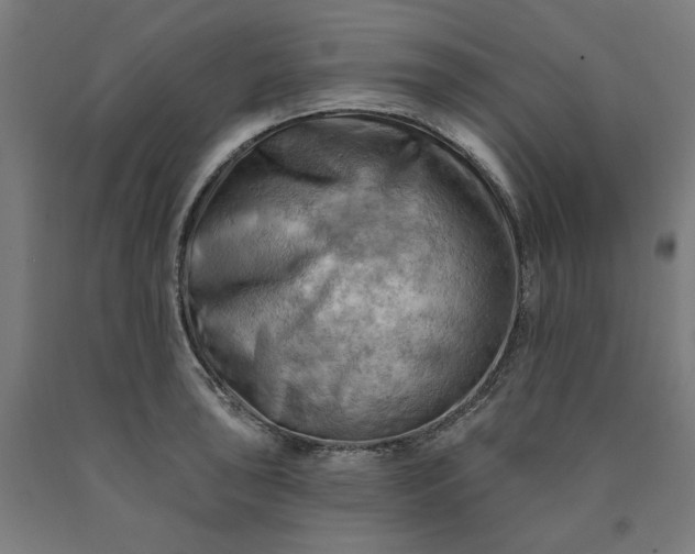X0000090631043200707311301
