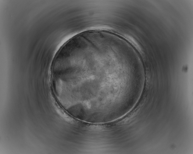 X0000090631044200707311301