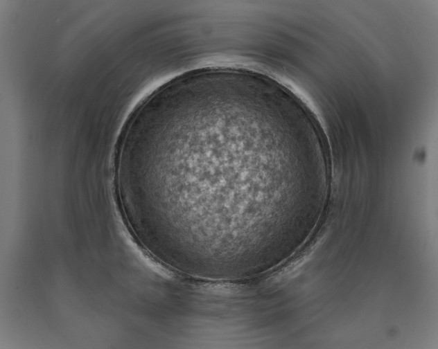 X0000090631045200707311301