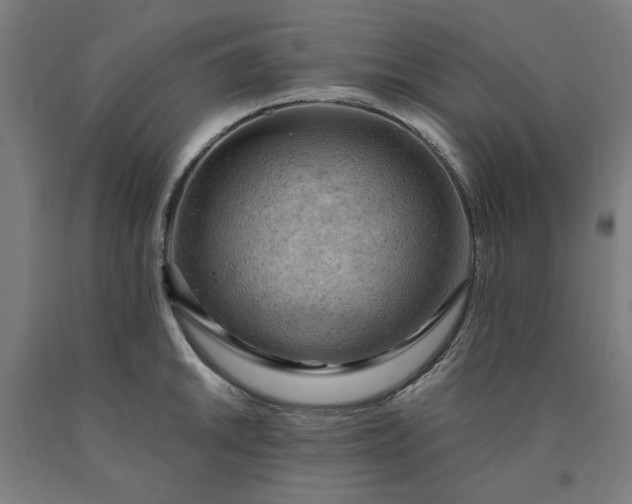 X0000090631046200707311301