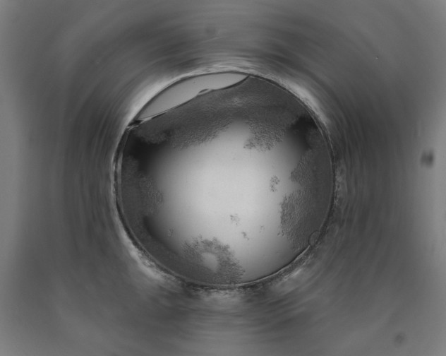 X0000090631047200707311301