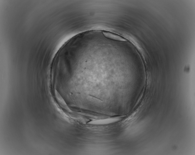 X0000090631048200707311301