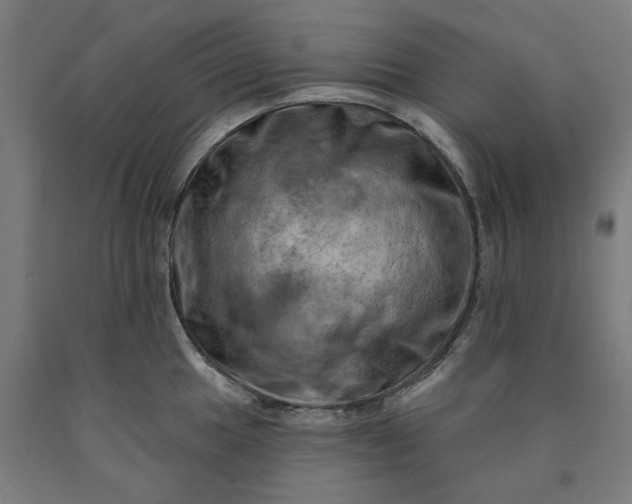 X0000090631049200707311301