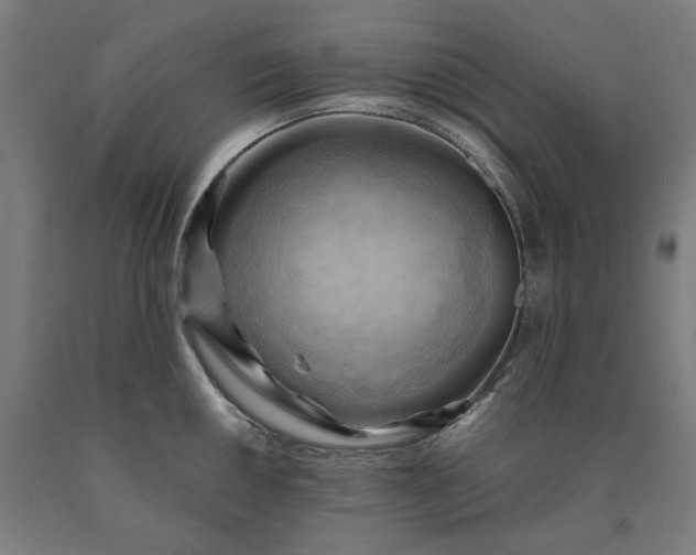 X0000090631050200707311301
