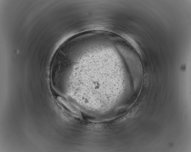 X0000090631051200707311301