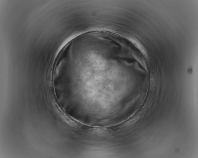 X0000090631052200707311301