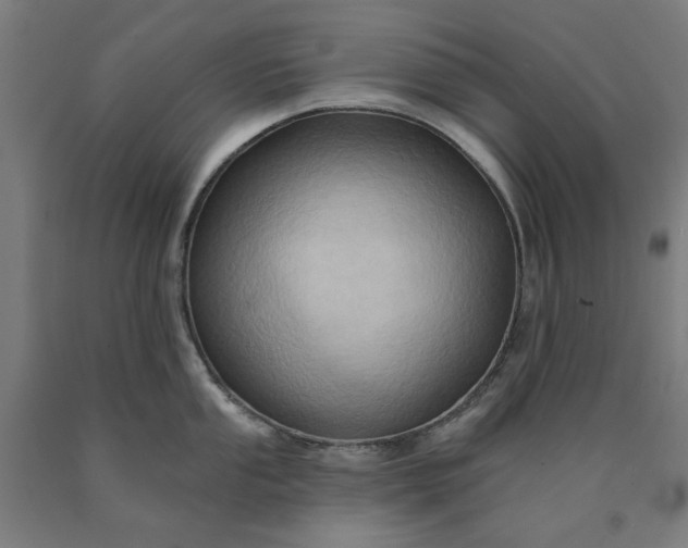 X0000090631053200707311301