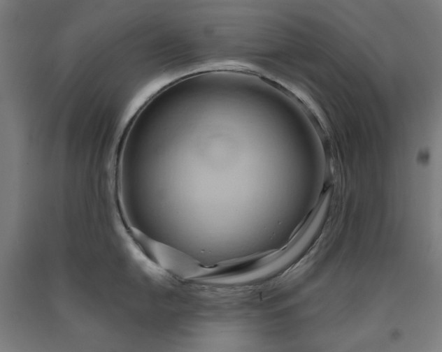 X0000090631054200707311301