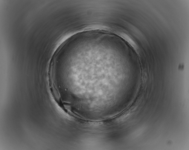 X0000090631055200707311301
