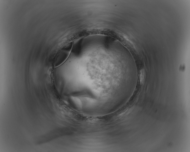 X0000090631059200707311300