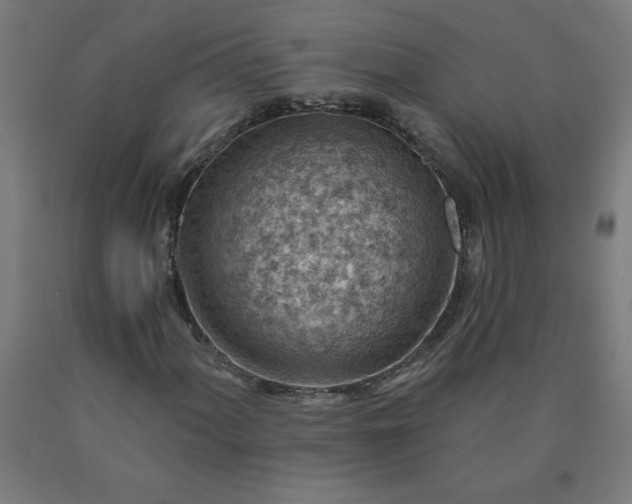 X0000090631060200707311300