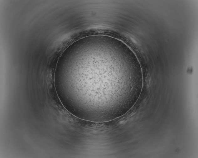 X0000090631062200707311300