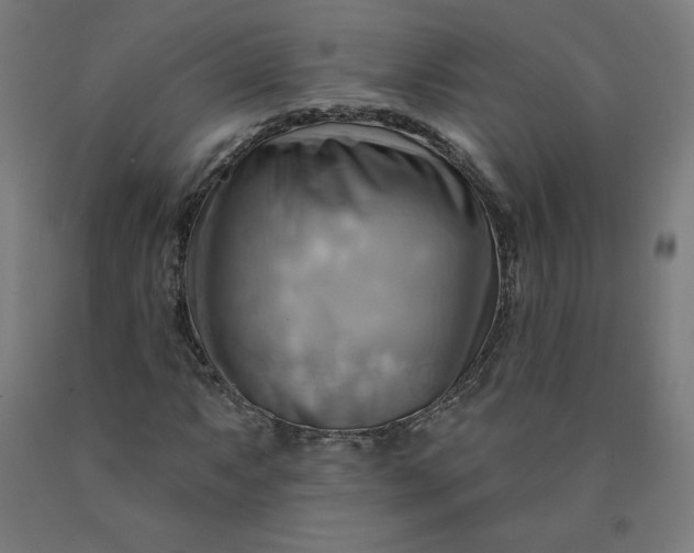 X0000090631063200707311300