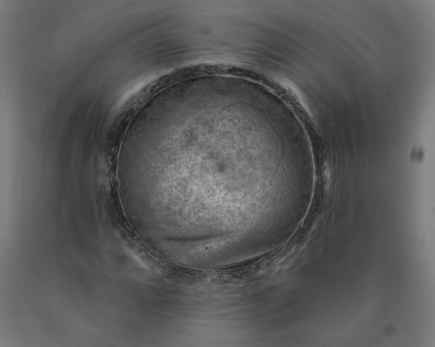 X0000090631064200707311300