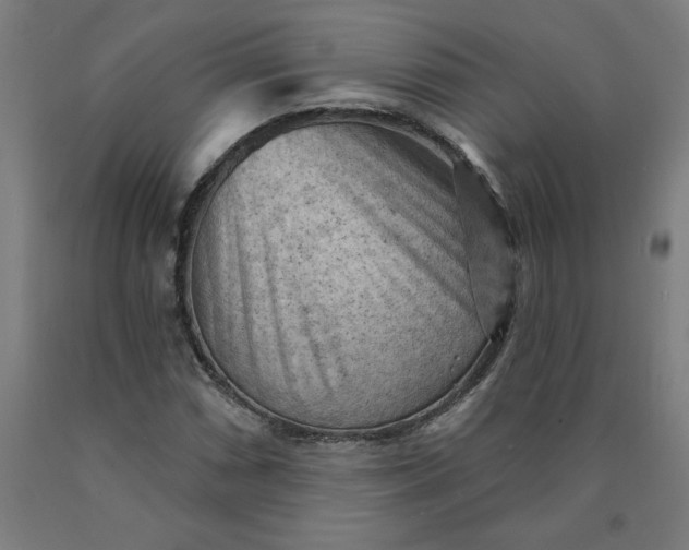X0000090631066200707311300