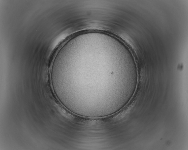 X0000090631067200707311300