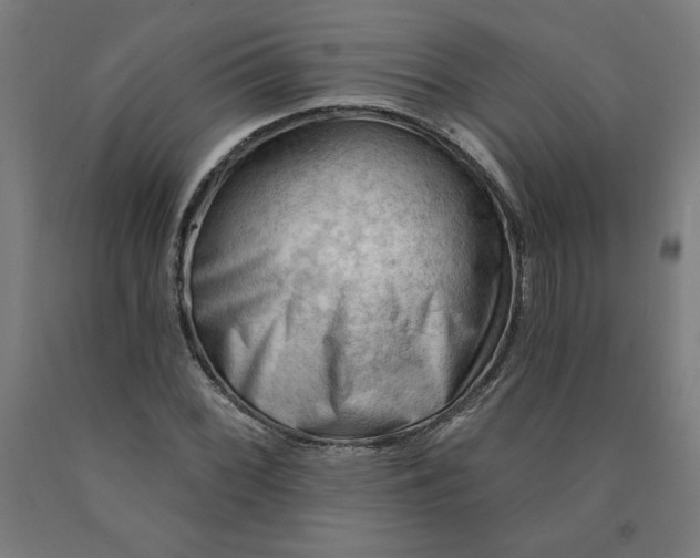 X0000090631068200707311300
