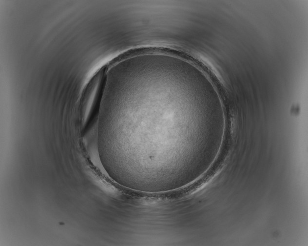X0000090631069200707311300
