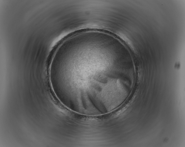 X0000090631070200707311300