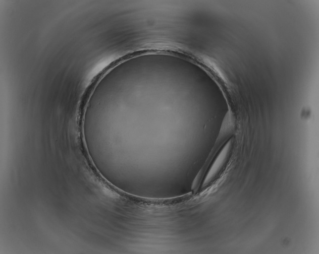 X0000090631071200707311300