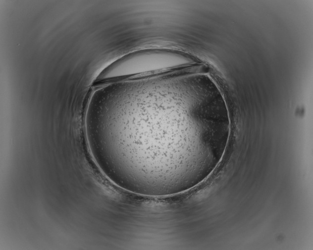 X0000090631073200707311300