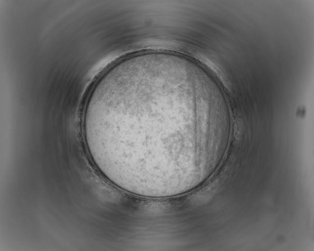 X0000090631074200707311300