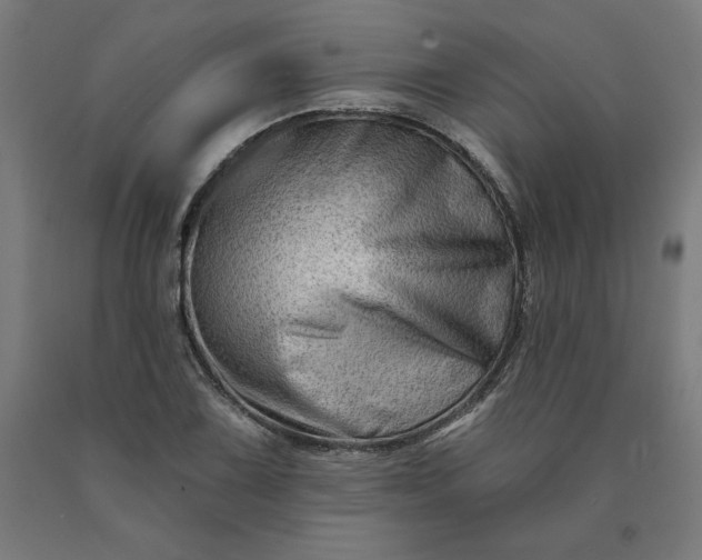 X0000090631075200707311300