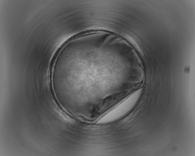X0000090631076200707311300