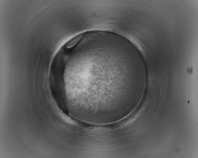 X0000090631077200707311300