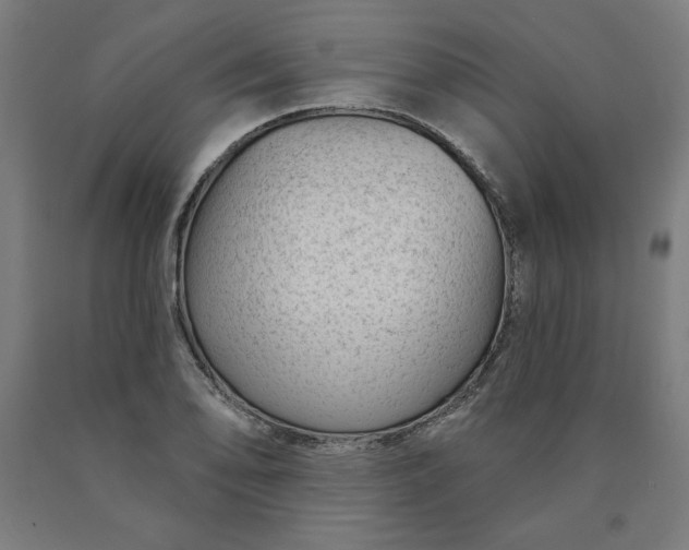 X0000090631078200707311300