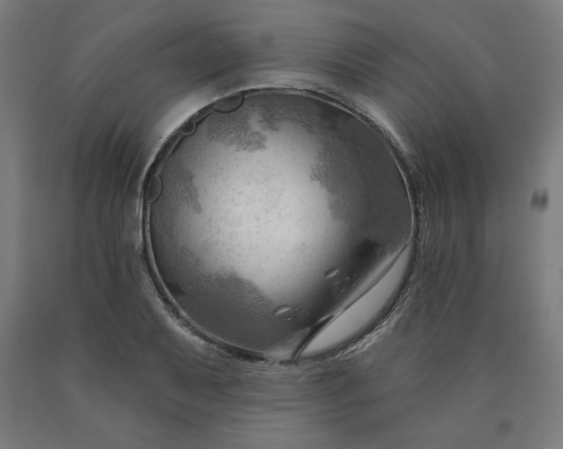 X0000090631079200707311300