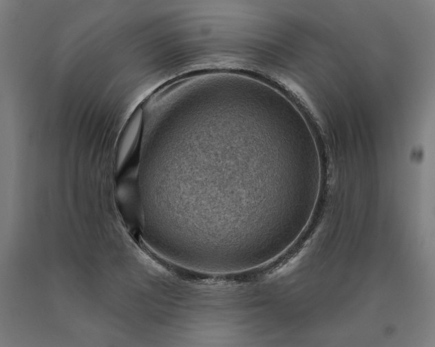 X0000090631081200707311300