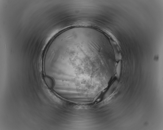 X0000090631083200707311300