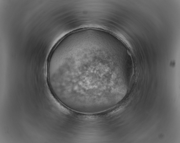 X0000090631084200707311300