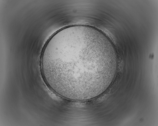X0000090631086200707311300