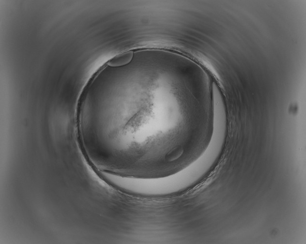 X0000090631087200707311300