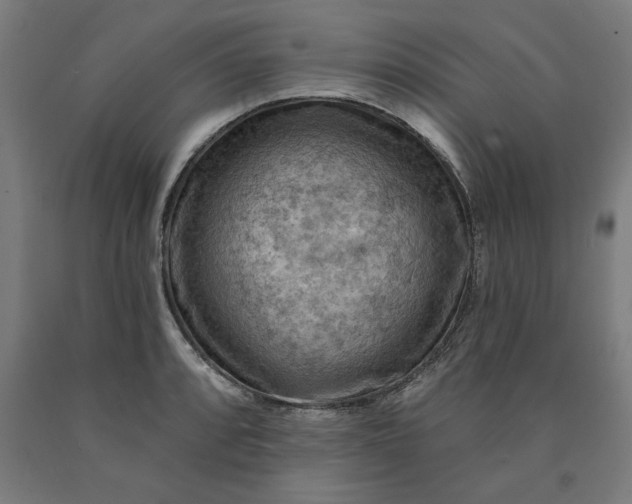 X0000090631088200707311300