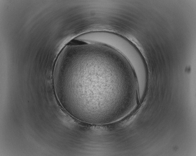 X0000090631089200707311300