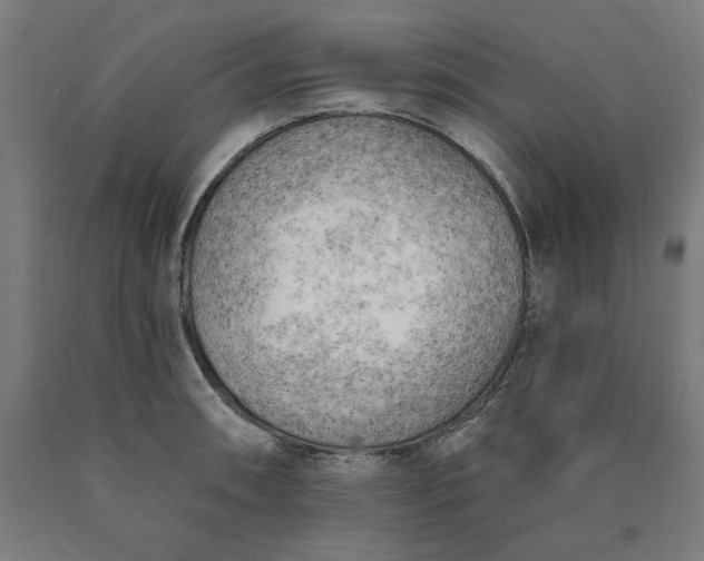 X0000090631090200707311300