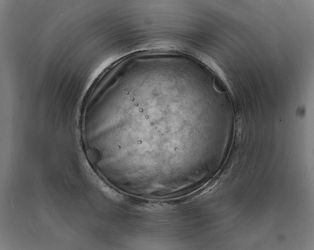 X0000090631091200707311300