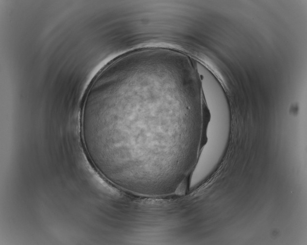 X0000090631092200707311300